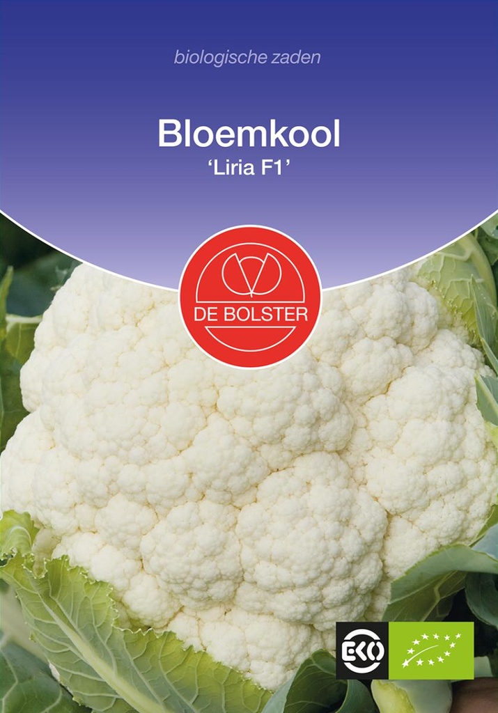 De Bolster Bloemkool Liria F1