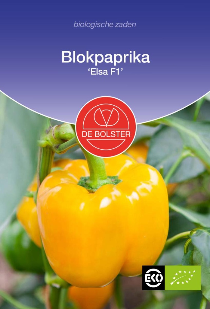 De Bolster Blokpaprika 'Elsa F1'