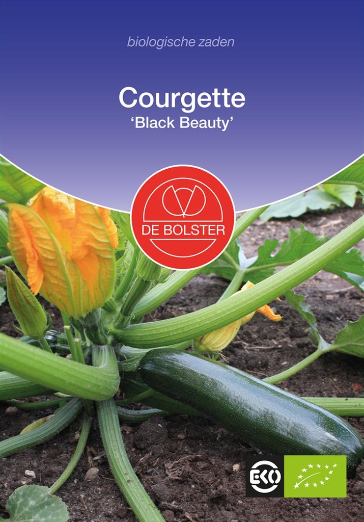De Bolster Courgette Black Beauty