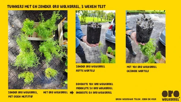 Oro Wolkorrel 2kg