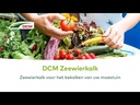 DCM Zeewierkalk Korrel 2 kg