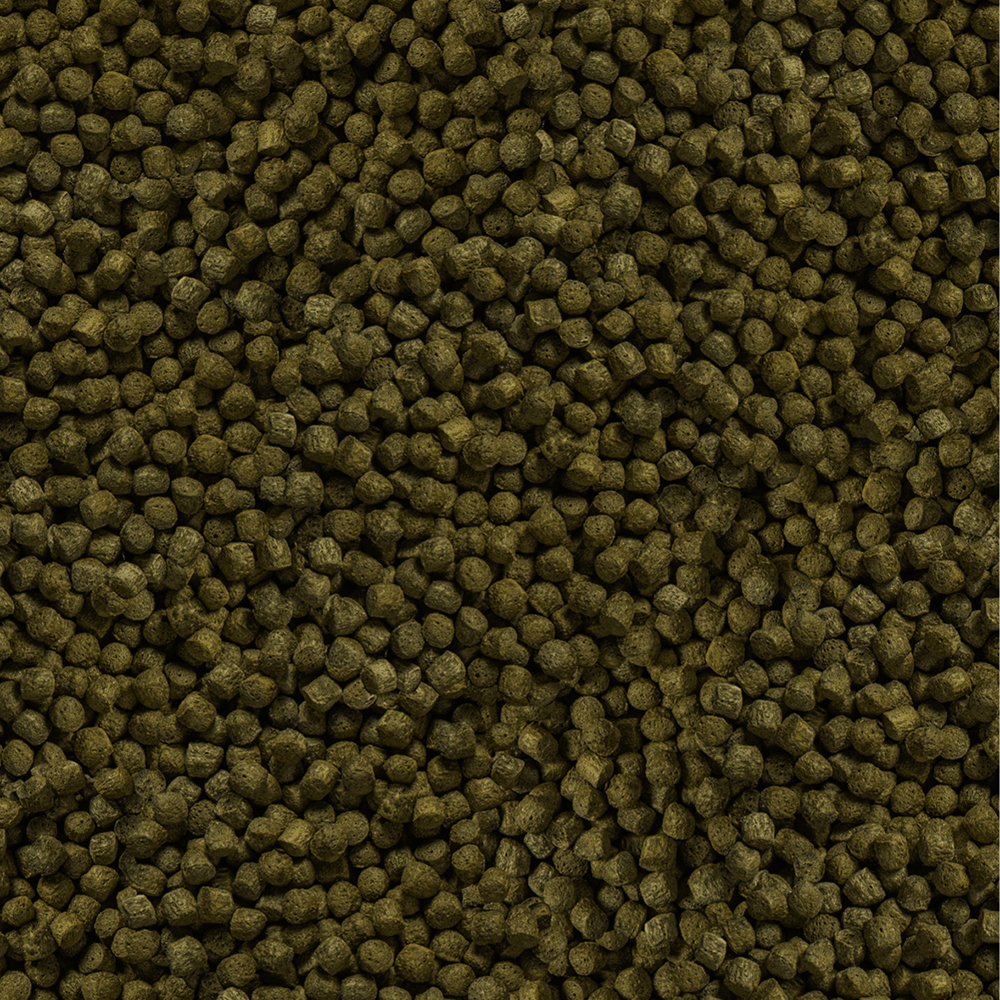 Sera Koi Color Medium 3,8 L (1,3 kg)
