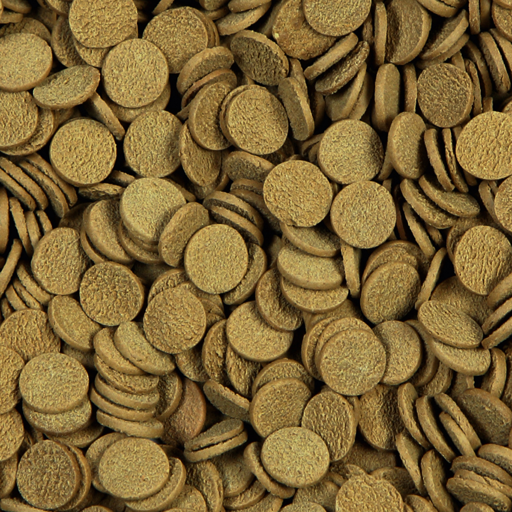 Sera Sterlet Chips 3,8 L (1,7 kg)