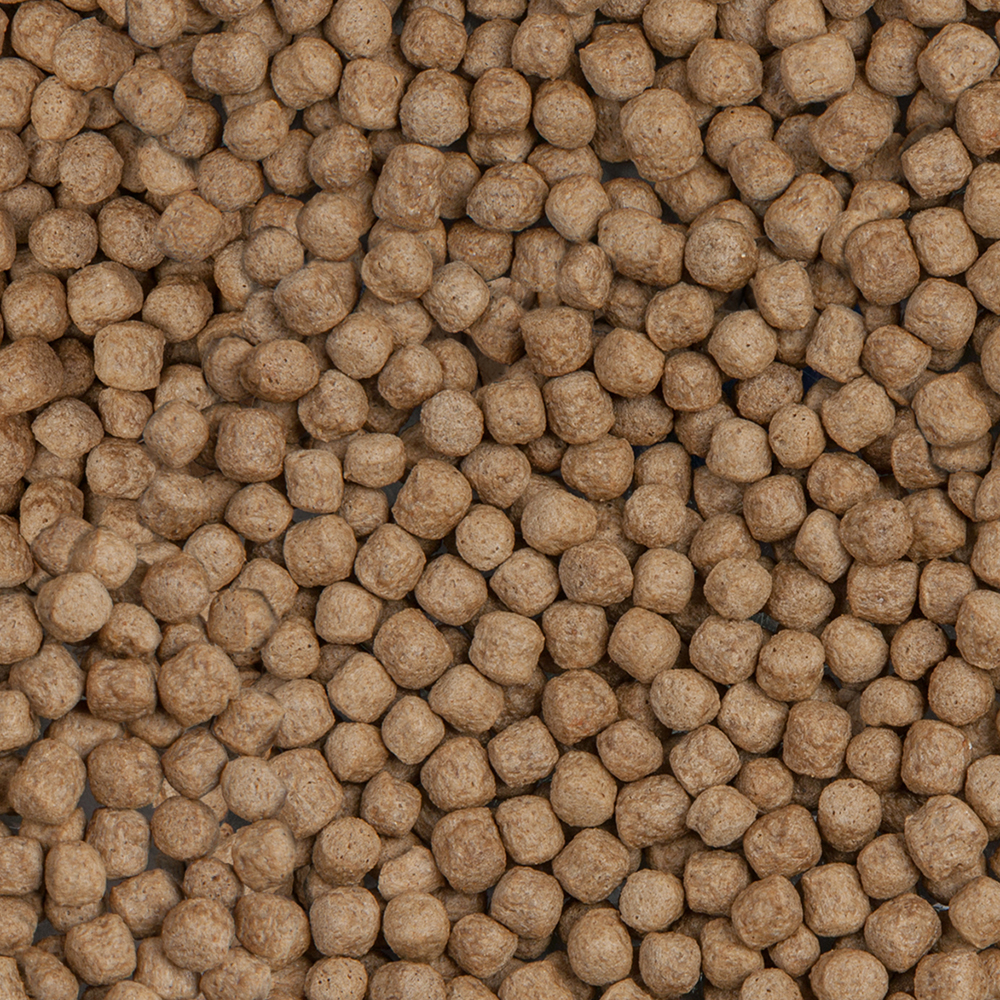 Sera Koi Royal Large 3,8 L (1,05 kg)