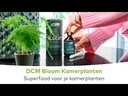 DCM Bloom Superfood Kamerplanten (0,2 ltr)