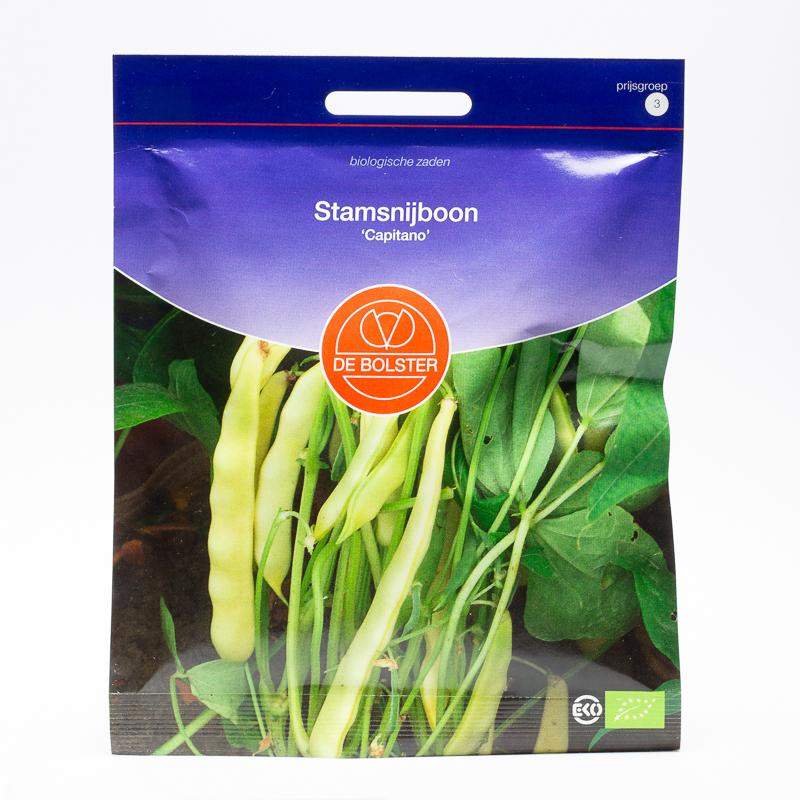 De Bolster Stamsnijboon, geel 'Capitano'