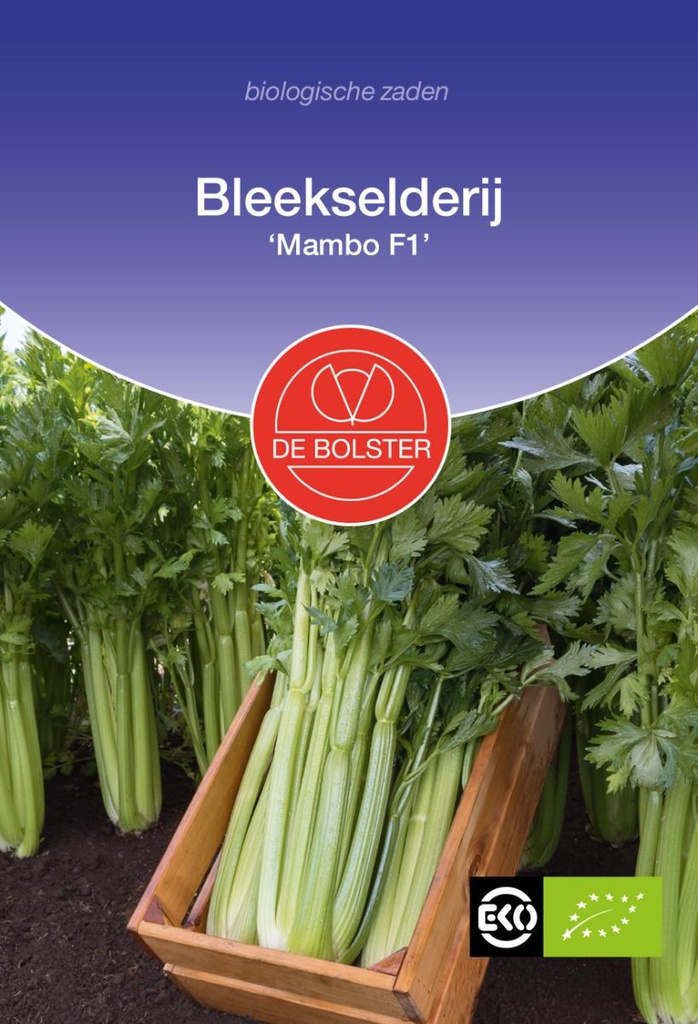 De Bolster Bleekselderij 'Mambo F1'