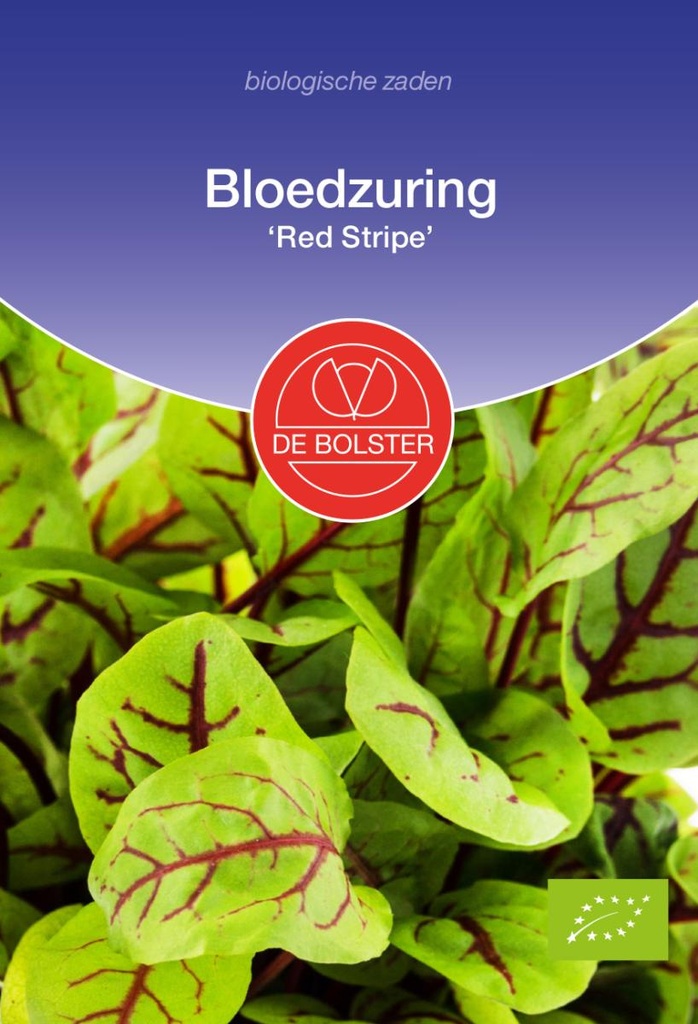 De Bolster Bloedzuring 'Red Stripe'