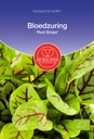 De Bolster Bloedzuring 'Red Stripe'