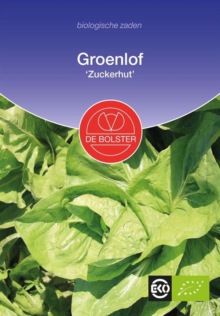 De Bolster Groenlof 'Zuckerhut'