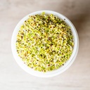 De Bolster Kiemgroenten Broccolikers