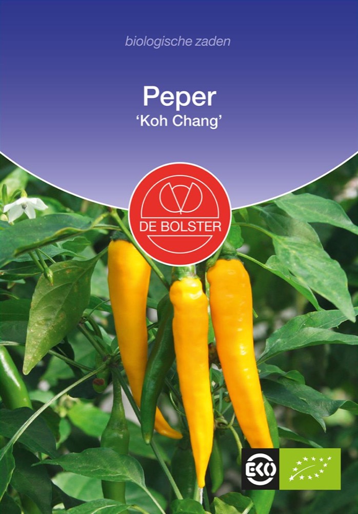 De Bolster Peper 'Koh Chang'