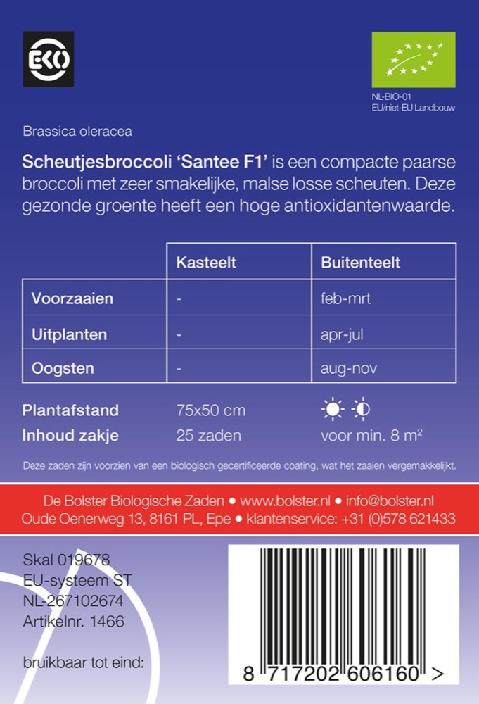 De Bolster Scheutjesbroccoli 'Santee F1'