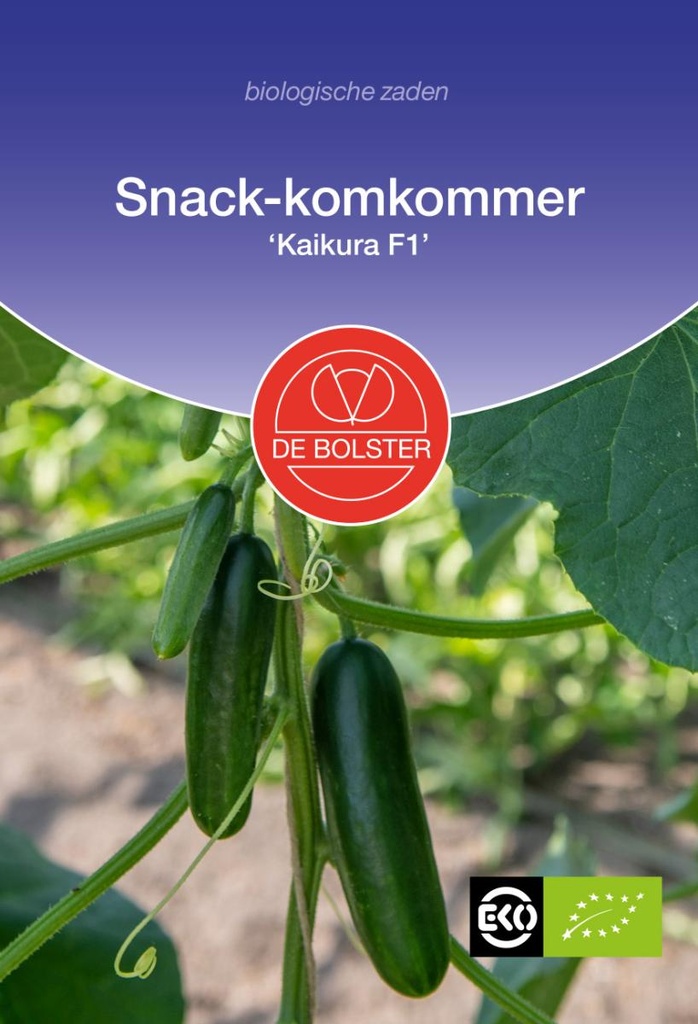 De Bolster Snack-komkommer 'Kaikura F1