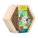 Buzzy Home Hexagon Feeder