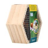 Buzzy Home Hexagon Lieveheersbeestjes