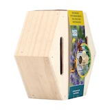 Buzzy Home Hexagon Vlinder
