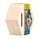 Buzzy Home Hexagon Vlinder