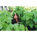 SOGO Olla terracotta waterkruik, 1.5L