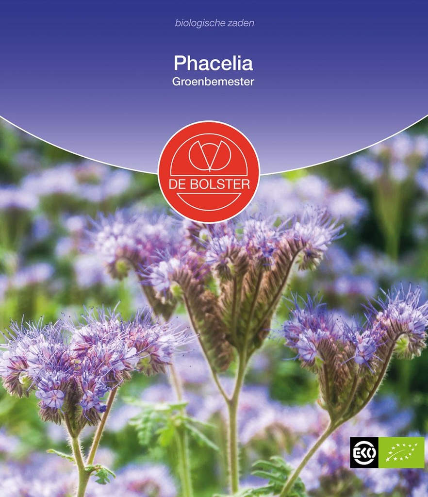 De Bolster Phacelia - Groenbemester