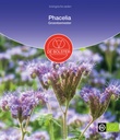 De Bolster Phacelia - Groenbemester