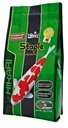 Hikari STAPLE MEDIUM 2 KG