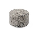 BioTabs Tabs 100 stuks