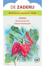 De Zaderij Buitenpaprika