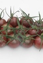 De Zaderij Tomaat Black Cherry