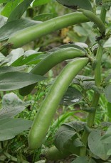 De Zaderij Tuinboon Tineke's Witkiem