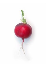 De Zaderij Radijs Rudi