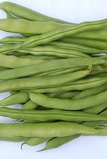 De Zaderij Aromata Stokslaboon