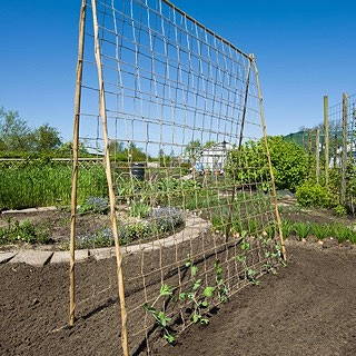 Nature Klim Net Jute 1,8x5m