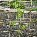 Nature Klim Net Jute 1,8x5m