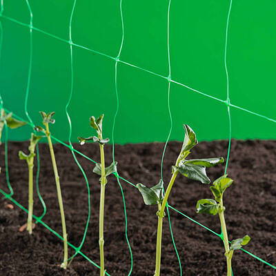 Nature Klim- groei- en geleidenet groen 1x10m maas