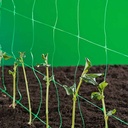 Nature Klim- groei- en geleidenet groen 1x10m maas