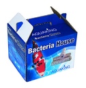 Aquaking Bacterial house 40x170 doos a 20 st