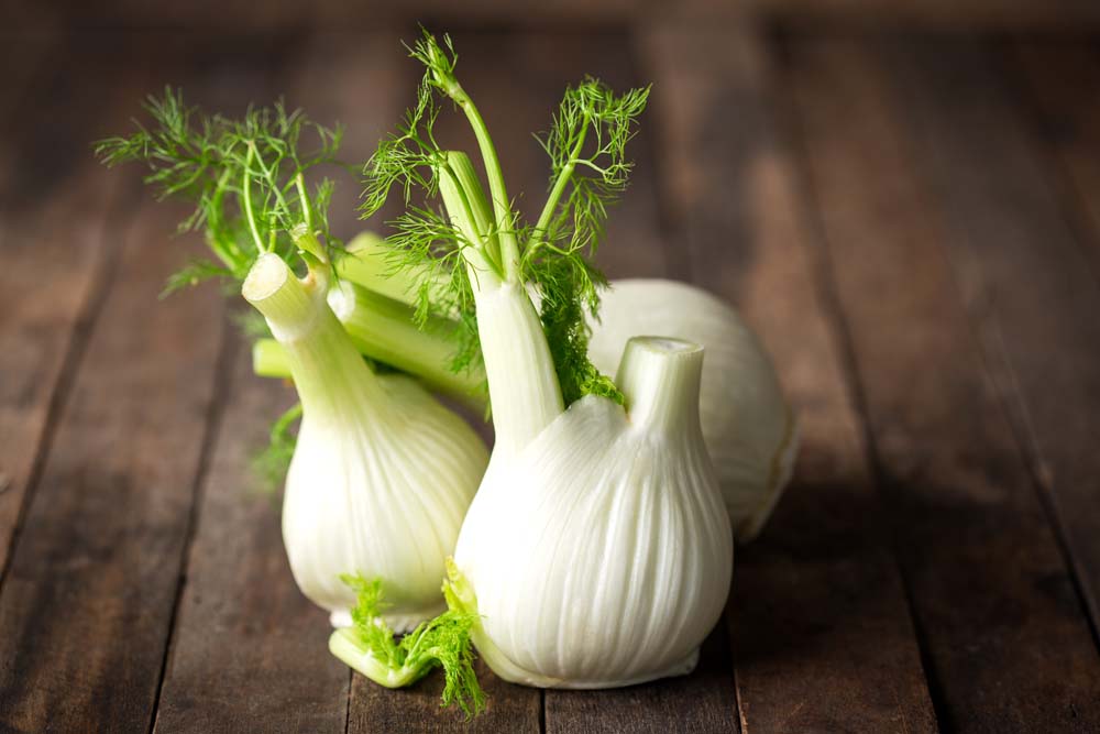 De Bolster Knolvenkel Perfection