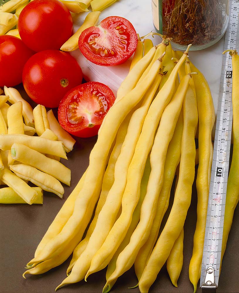 De Bolster Stokslaboon Neckargold