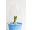 Xala biosphere S blauw