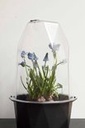 Xala biosphere S zwart