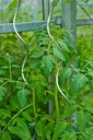 Nature Tomatensteun spiraal H1,80