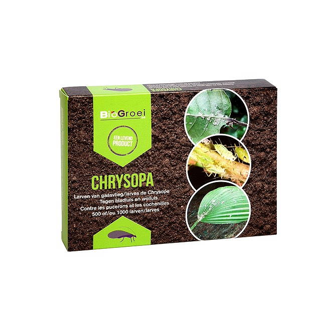 Biogroei Chrysop-20 kaartjes