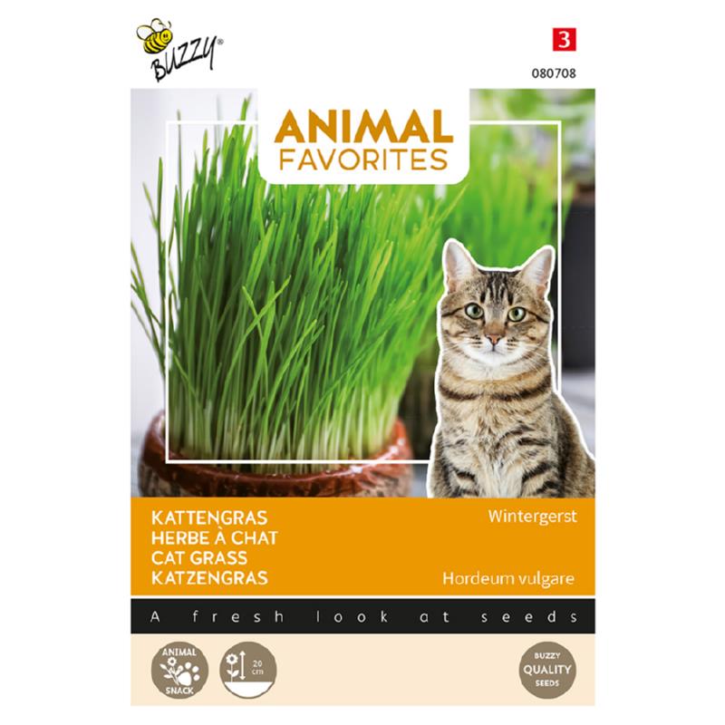 Buzzy Animal Favorites Kattengras