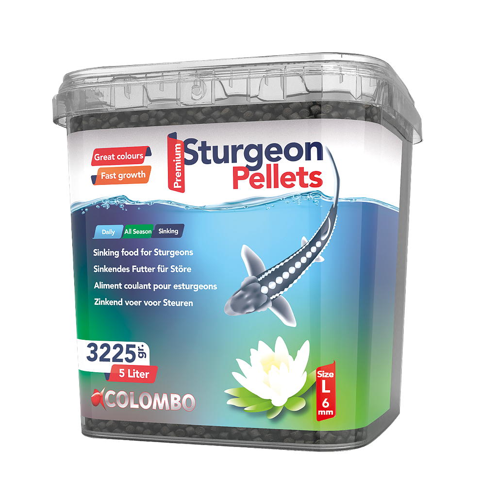 COLOMBO STEURVOER 5L LARGE