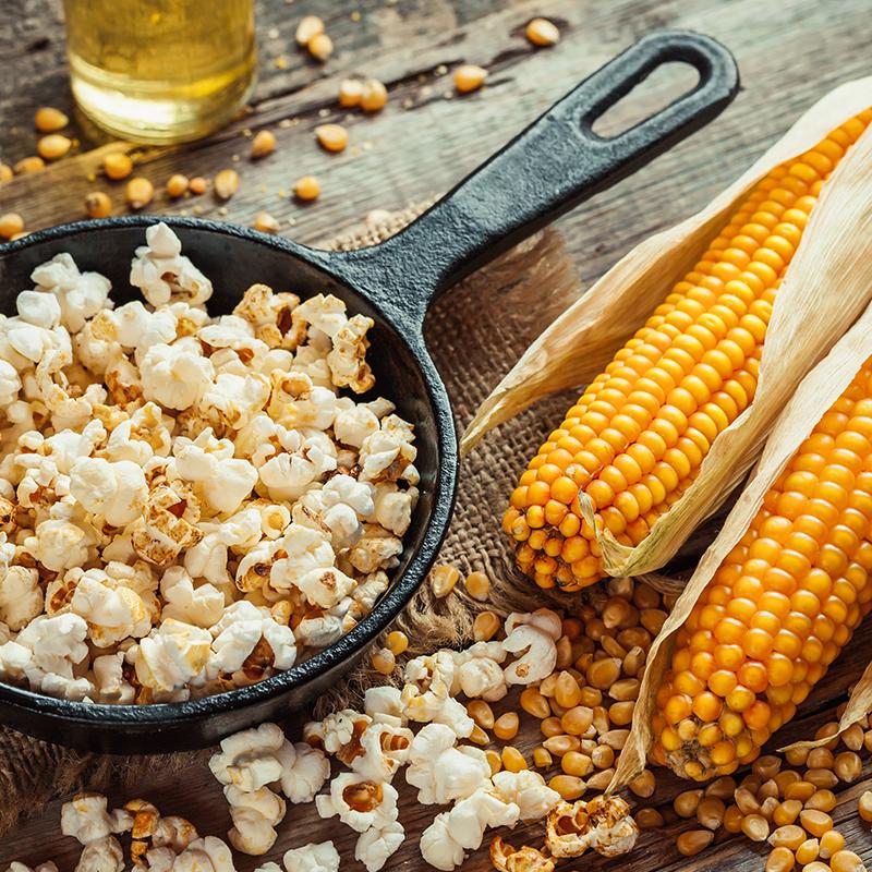 De Bolster Popcornmais 'Cinema'