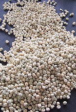 De zaderij Erwt Senator erwt/ peultje