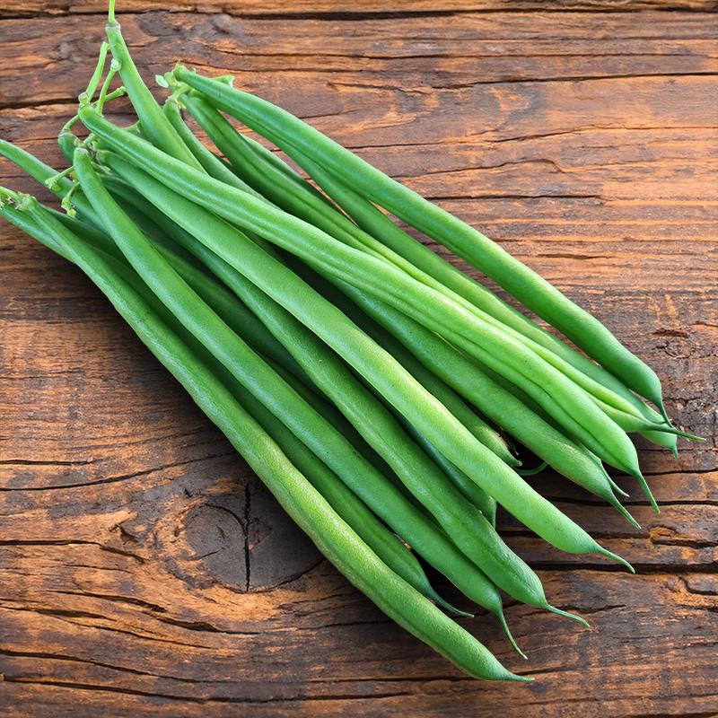 De Bolster Stamslaboon ‘Davis’