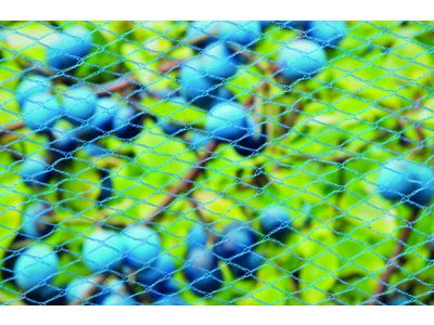 Tuinnet nano maas 8x8mm 5x2 meter blauw 22 gram