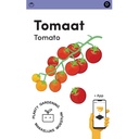 Makkelijke Moestuin Kerstomaat Sweetie